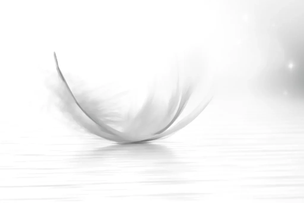 Une seule plume blanche vaporeuse et légère flottant sur un fond flou.