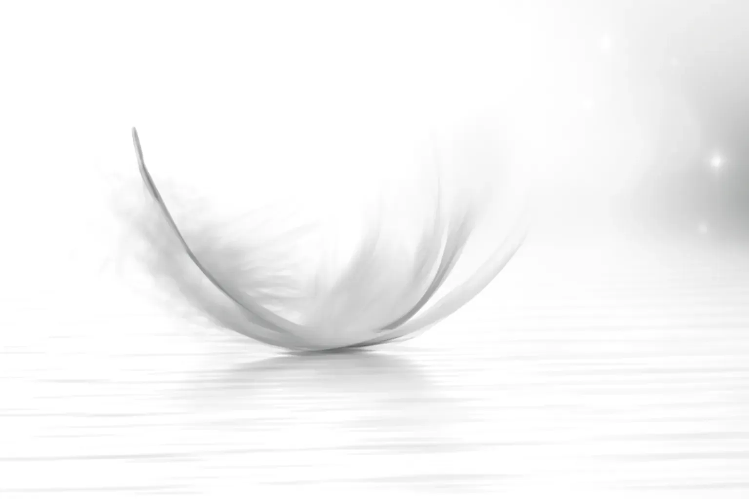 Une seule plume blanche vaporeuse et légère flottant sur un fond flou.